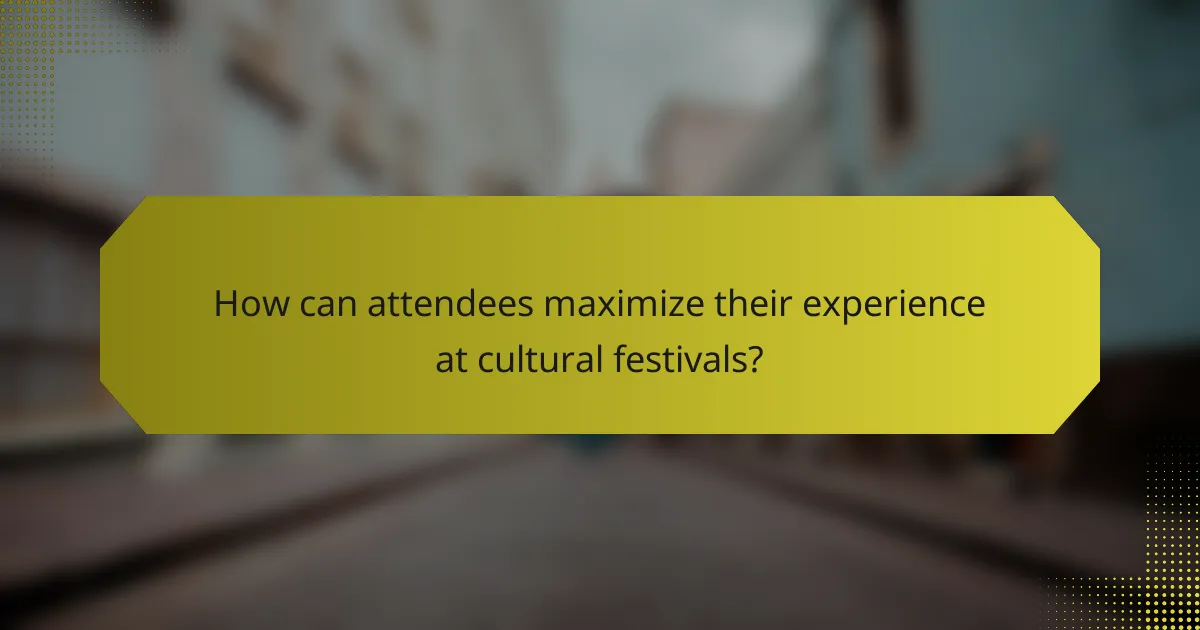 How can attendees maximize their experience at cultural festivals?