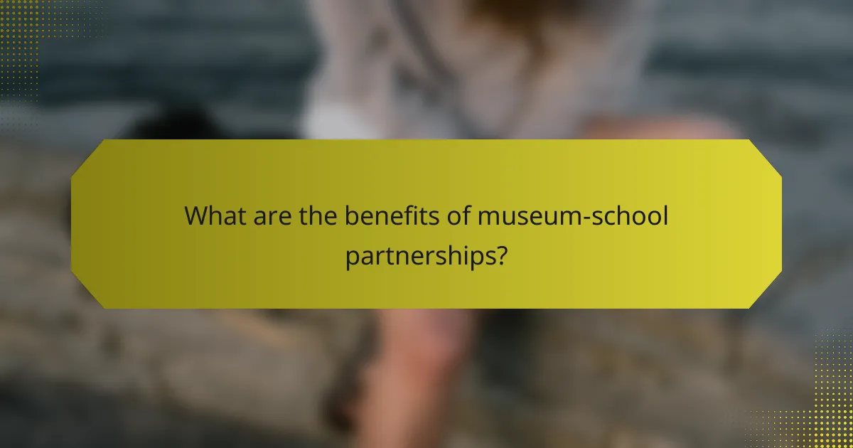 What are the benefits of museum-school partnerships?
