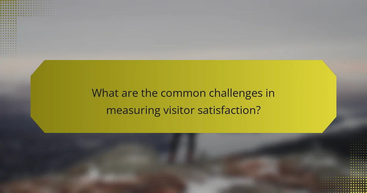 What are the common challenges in measuring visitor satisfaction?