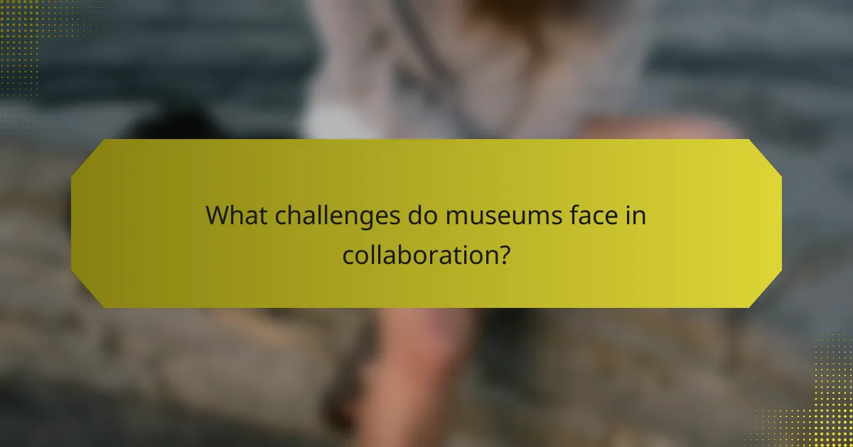 What challenges do museums face in collaboration?