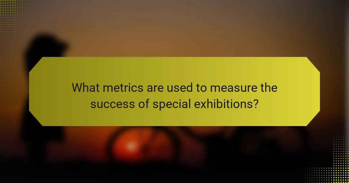 What metrics are used to measure the success of special exhibitions?